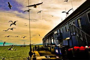 免费ddos在线攻击